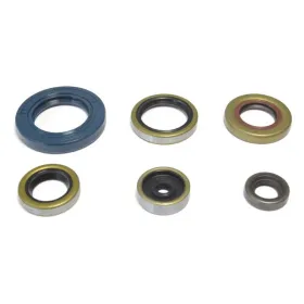 Athena Engine gaskets set Gas Gas / Husqvarna / KTM 65 09-23 