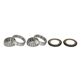 ALL BALLS vairo mechanizmo guolių kompl. 25x52x16,25 Aprilia / BMW / Gas Gas / Moto Guzzi 125-1200 73-15