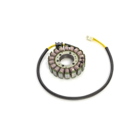 RICK'S MOTORSPORT ELECTRIC OEM Style Stator Honda CB 600F 04-06