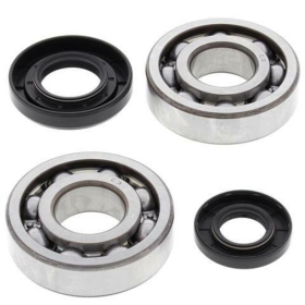 ALL BALLS Crankshaft Bearing & Oil Seal Kit YAMAHA YZ 250 01-20