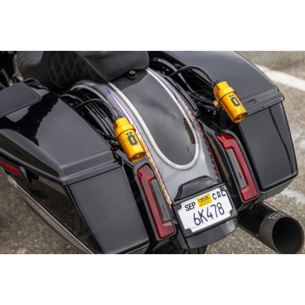 ARLEN NESS Custom Lighting Carbon Fiber Rear Fender