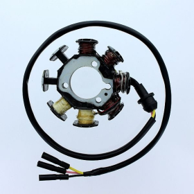 ELECTROSPORT Stator Honda XR 200R 94-02