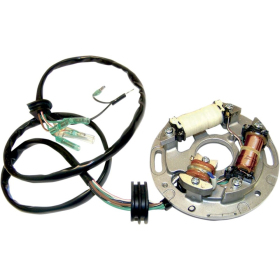 WSM Stator Plate Assembly Yamaha RA / WRA / WB / WVT / XL 650-700 94-04