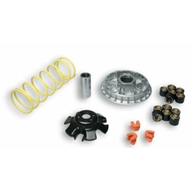 Variatoriaus kompl. MALOSSI Maxi Multivar Kymco 250-300cc 4T (23x18)