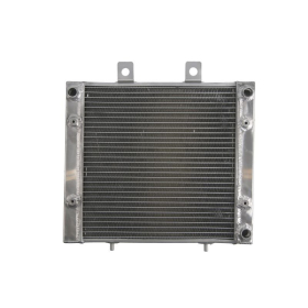 4Ride Radiator Polaris Sportsman 400-570cc 04-18