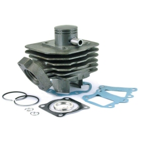TECNIUM Cylinder Kit -Peugeot Buxy / Elyseo / Elystar / Looxor / Speedake / Speedfight / Squab / Trekker / Vivacity / Zenith 50cc 93-11
