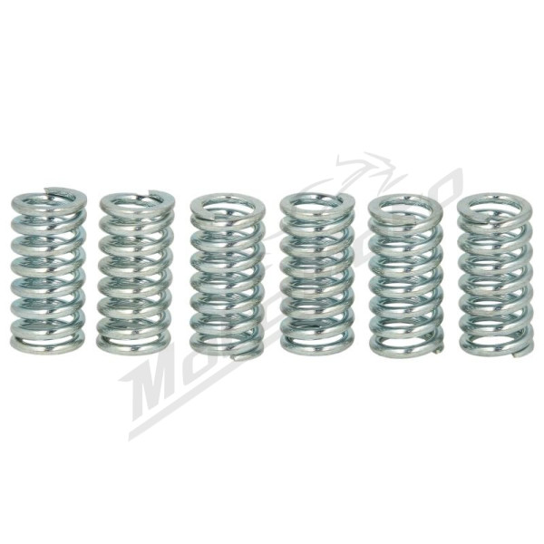 TRW Sankabos spyruoklių kompl. Kawasaki / Sachs / Suzuki 125-500 82-16