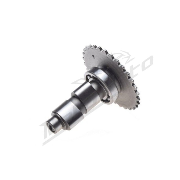Camshaft Pitbike YCF 50