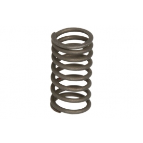 Internal valve spring GY6