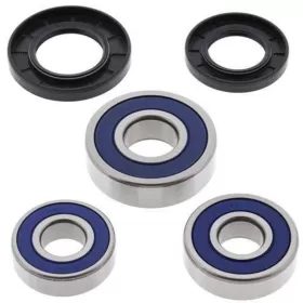 ALL BALLS Rear Wheel Bearing Kit Triumph 750-1200 91-15/APRILIA ETV 1000 01-10