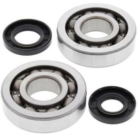 ALL BALLS Crankshaft Bearing & Oil Seal Kit KAWASAKI KX 250 02-08