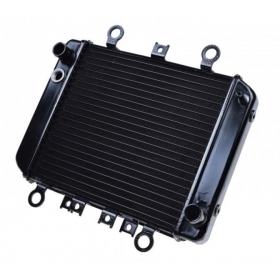 Radiator KAWASAKI ER5 96-06