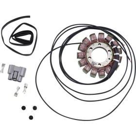 RICK'S MOTORSPORT ELECTRIC OEM Style Stator BMW S1000 HP4 / S1000R / S1000RR 10-16