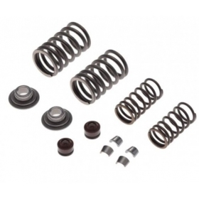 Valve spring, rubber, rentainer ZS154FMI-2