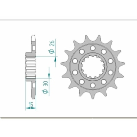AFAM Steel Standard Front Sprocket 166801 - 520 15-17 teeth BMW S / HP4 1000cc 10-24
