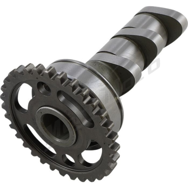  Hot cams įsiurbimo velenėlis Yamaha WR / YZ 250cc 01-16