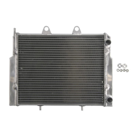 4Ride Radiator Polaris ACE / RZR 570-800cc 08-18