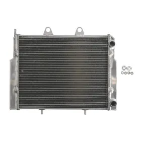 V4Ride Radiatorius Polaris ACE / RZR 570-800cc 08-18