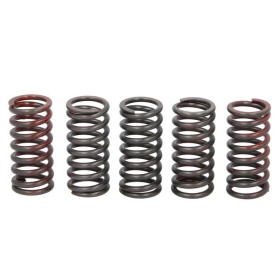 TRW Clutch springs set Husqvarna / KTM 125-250 04-20
