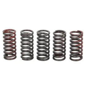 TRW Clutch springs set Husqvarna / KTM 125-250 04-20