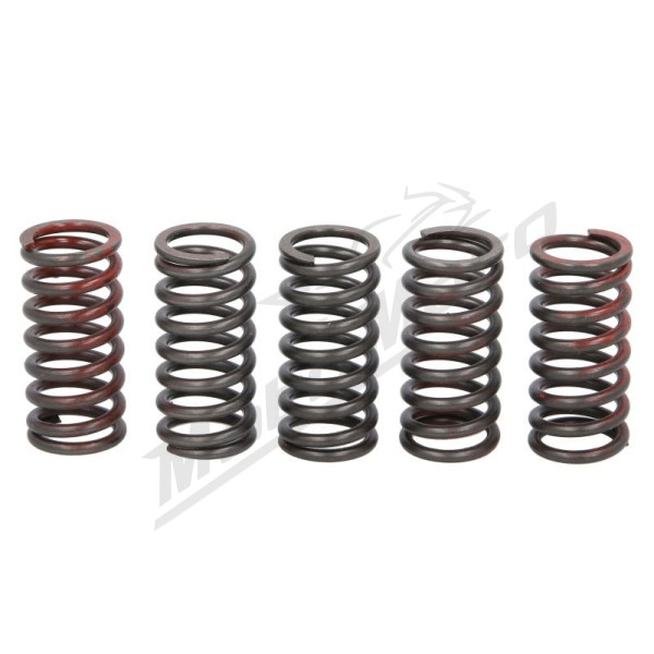 TRW Clutch springs set Husqvarna / KTM 125-250 04-20