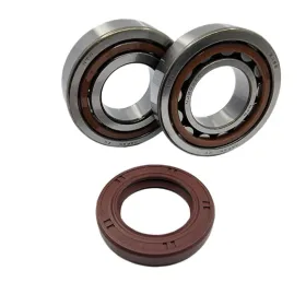 BEARING WORX Alkūninio veleno guolių kompl. KTM / Polaris 250-540 00-11