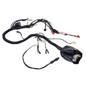 Wiring harness ATV/ ST-9E 250cc 4T