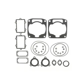 PROX Cilindro tarpinių kompl. Arctic Cat Cheetah / El Tigre / Jag / Lynx / Panther 340-440cc 78-80
