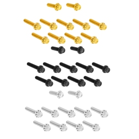 ARLEN NESS Cam Cover/Point Cover Titanium 12-Point Bolt Kit 12pcs. M8