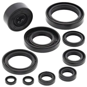 Winderosa (vertex) set (set) of engine seals Yamaha YZ 125 93–97