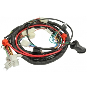 Wiring harness CHINESE SCOOTER GY6 50cc 4T R10