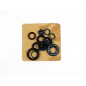 ATHENA Engine Oil Seal DUCATI MONSTER / SS / ST2 600-944 94-01