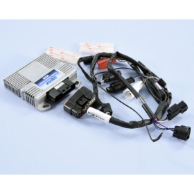 POLINI ECU Box Euro 5 Piaggio / Vespa 125cc 21-24