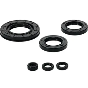 Winderosa (vertex) set (set) of engine seals Honda Pioneer / Talon 1000 16-21