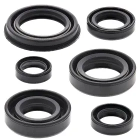 Winderosa (vertex) set of engine seals Honda XR 250 R 96–04