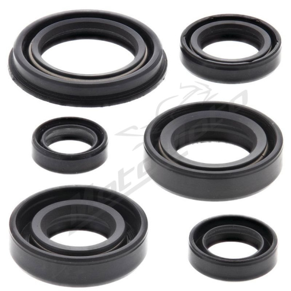 Winderosa (vertex) set of engine seals Honda XR 250 R 96–04