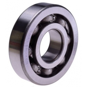 Bearing (open type) 28x72x18