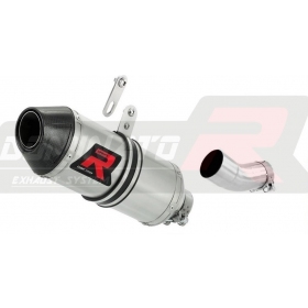 Exhaust silincer Dominator LOW LEVEL HP3 APRILIA TUONO V4 1100RR 2015-2016