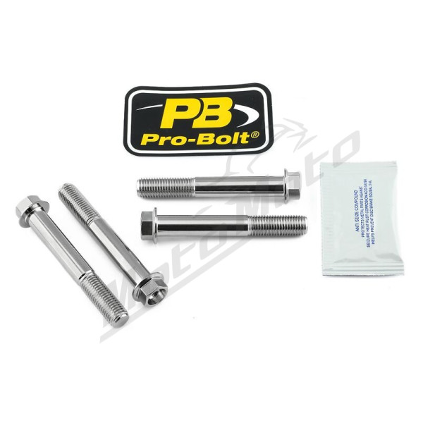 PRO BOLT Stainless Steel Caliper Mount Bolt kit Kawasaki / Suzuki / Yamaha 600-1700cc 04-25