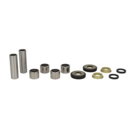 ALL BALLS Rear Swing Arm Bearing Kit Can Am DS 450 08-09