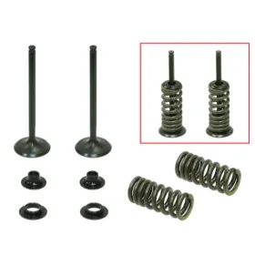 Psychic exhaust valves set Honda CRF 250R/X 04-15