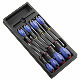 EXPERT Screwdrivers kit + Plastic Tray