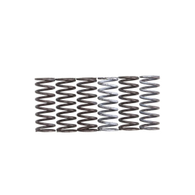 TRW Clutch springs set Suzuki DL / SFV / SV 650 03-20