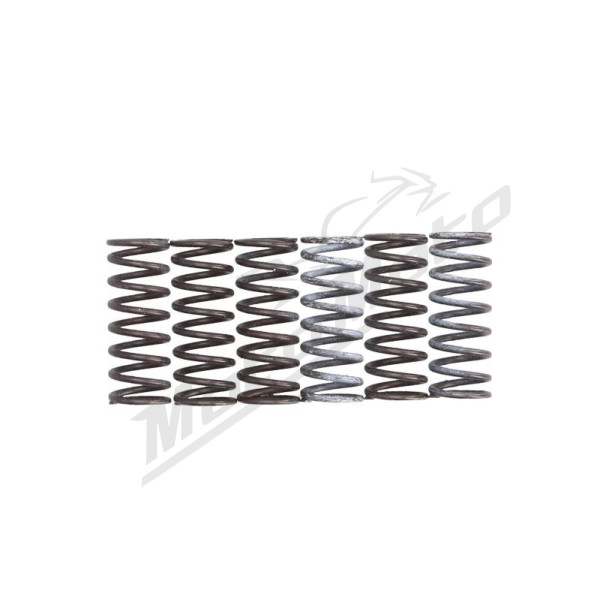 TRW Clutch springs set Suzuki DL / SFV / SV 650 03-20