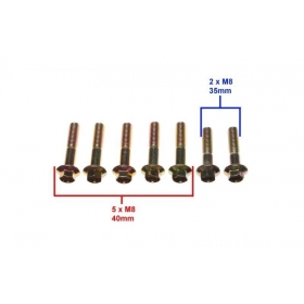 Bolts M8x1,25 (length 35 / 40mm) 7pcs