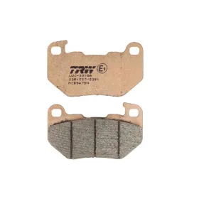 TRW Galinės stabdžių trinkelės 47,2x9,5mm Harley Davidson Livewire / RH 975 21-25
