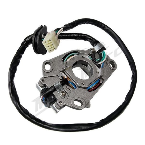 Electrosport kintamosios srovės generatoriaus Yamaha YZ 125 05-15