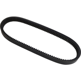 Dayco HP 3038 variatoriaus diržas Arctic Cat Cougar / EXT / F5 / F6 / F7 / King Cat / Mountain Cat / Pantera / Powder / Sabercat / Thundercat / Z / ZL / ZR 370-900 98-07