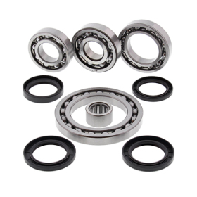 ALL BALLS Rear differential repair kit Suzuki Quad Master / LT-F 500 01-02 