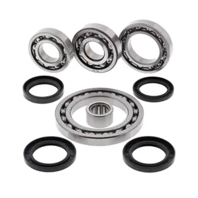 ALL BALLS Galinio reduktoriaus remonto kompl. Suzuki Quad Master / LT-F 500 01-02 